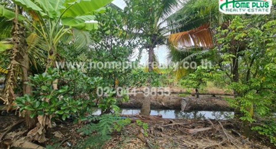 For sale land in Amphawa, Samut Songkhram