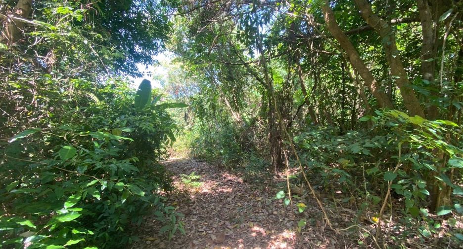 À vendre terrain à Mueang Phuket, Phuket