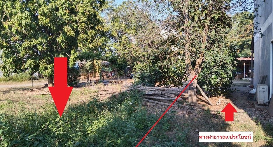 For sale land in Rong Kwang, Phrae