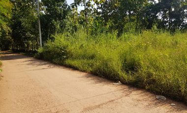 For sale land in Mueang Uttaradit, Uttaradit