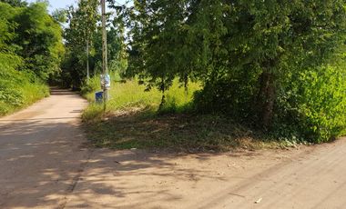 For sale land in Mueang Uttaradit, Uttaradit