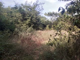 For sale land in Chok Chai, Nakhon Ratchasima