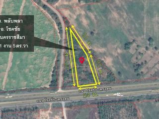 For sale land in Chok Chai, Nakhon Ratchasima