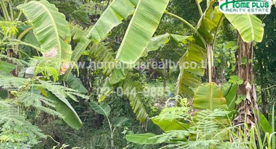 For sale land in Na Kae, Nakhon Phanom