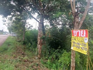 For sale land in Kumphawapi, Udon Thani