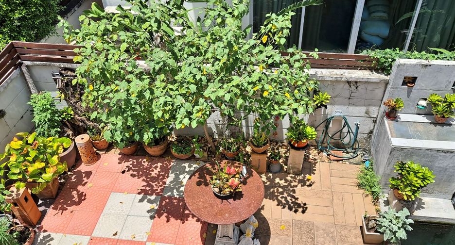 ขาย 4 ห้องนอน บ้านเดี่ยว ใน ปากเกร็ด, นนทบุรี