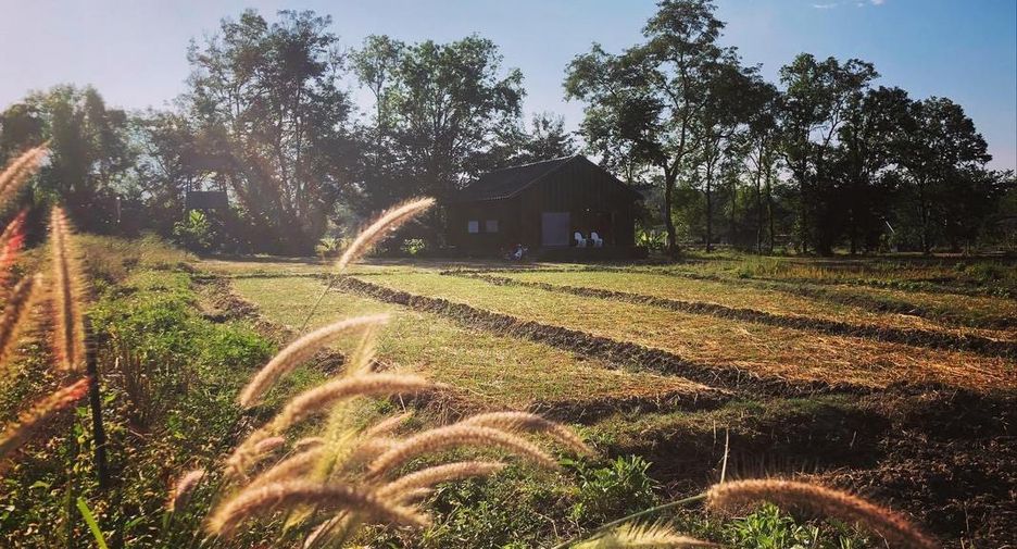 For sale 3 bedrooms house in Pai, Mae Hong Son