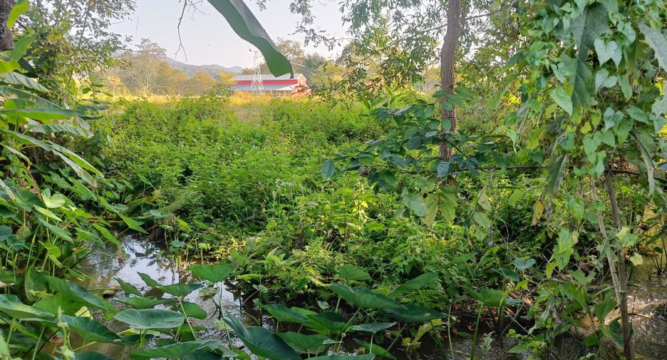 For sale 3 bedrooms house in Pai, Mae Hong Son