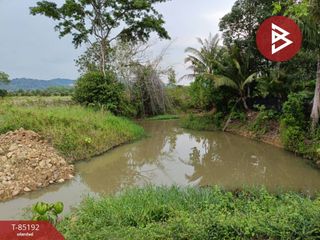 For sale land in Makham, Chanthaburi