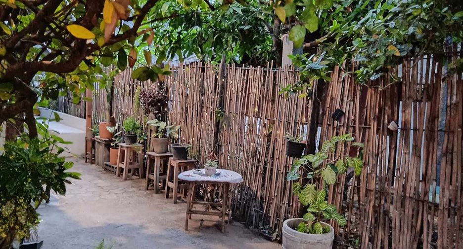 For sale 7 bedrooms retail Space in Pai, Mae Hong Son