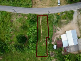 For sale land in Takua Thung, Phang Nga