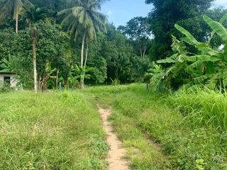 For sale land in Takua Thung, Phang Nga