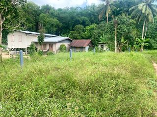 For sale land in Takua Thung, Phang Nga