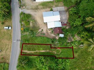 For sale land in Takua Thung, Phang Nga