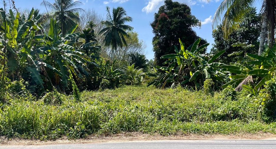 For sale land in Takua Thung, Phang Nga