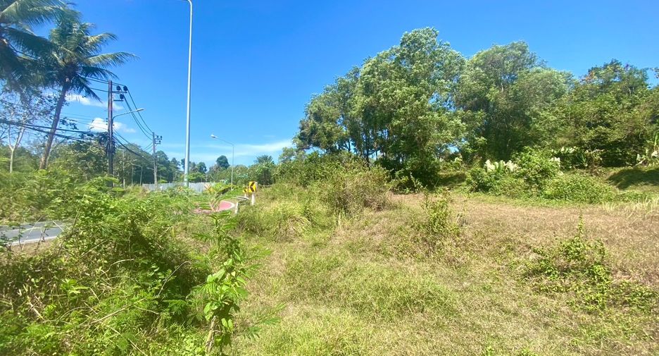 ขาย ที่ดิน ใน ถลาง, ภูเก็ต