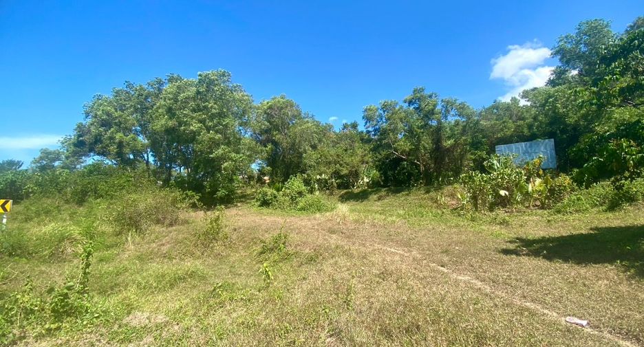 ขาย ที่ดิน ใน ถลาง, ภูเก็ต