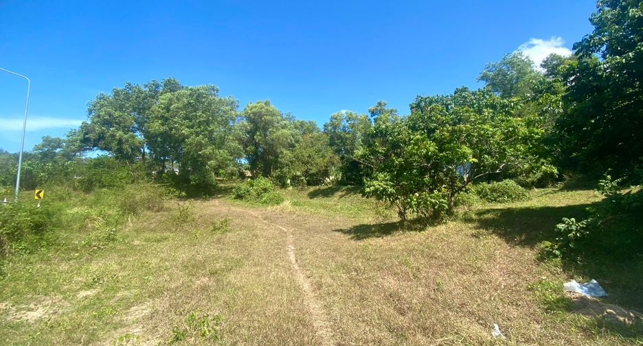 ขาย ที่ดิน ใน ถลาง, ภูเก็ต
