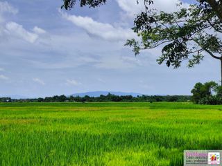 For sale land in Chae Hom, Lampang