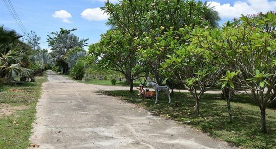 For sale land in San Pa Tong, Chiang Mai