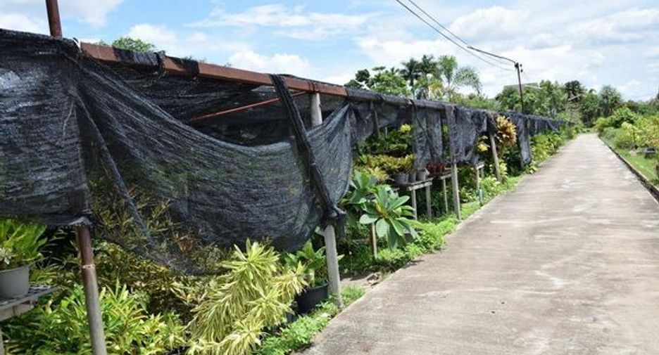 For sale land in San Pa Tong, Chiang Mai
