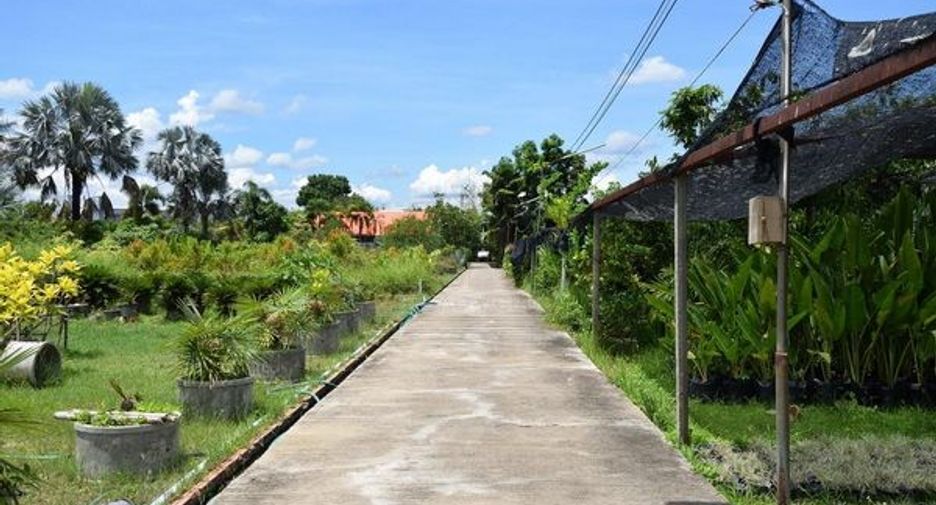 For sale land in San Pa Tong, Chiang Mai