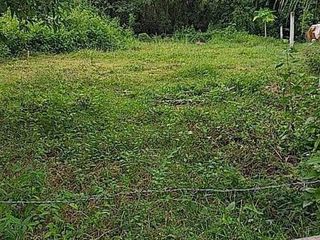 For sale land in Mueang Surin, Surin