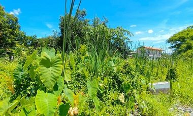 For sale land in Lak Si, Bangkok
