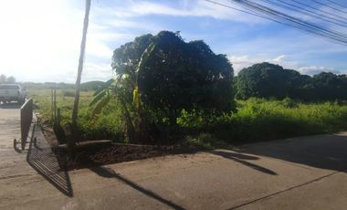 For sale land in Saraphi, Chiang Mai