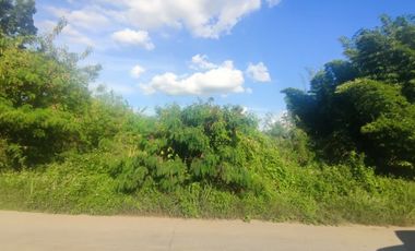 For sale land in Saraphi, Chiang Mai