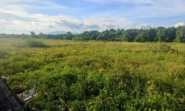 For sale land in Saraphi, Chiang Mai