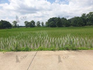 For sale land in Mae Chan, Chiang Rai