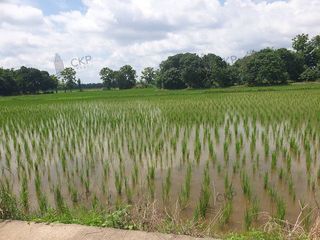 For sale land in Mae Chan, Chiang Rai