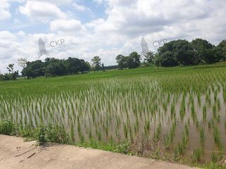 For sale land in Mae Chan, Chiang Rai