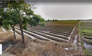 For sale land in San Kamphaeng, Chiang Mai