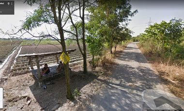 For sale land in San Kamphaeng, Chiang Mai
