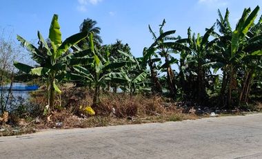 For sale land in Bang Phli, Samut Prakan