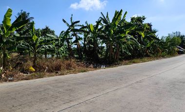 For sale land in Bang Phli, Samut Prakan