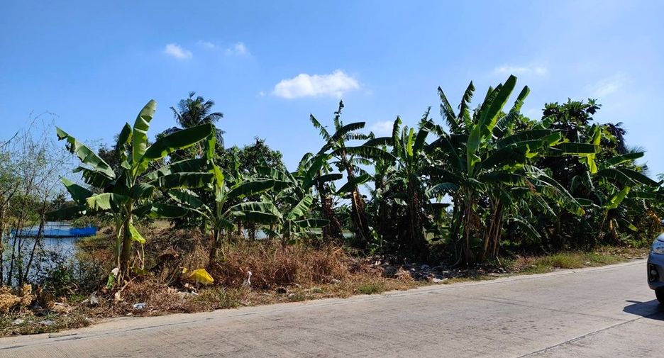 For sale land in Bang Phli, Samut Prakan