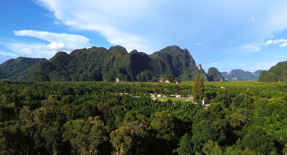 ขาย ที่ดิน ใน เมืองกระบี่, กระบี่