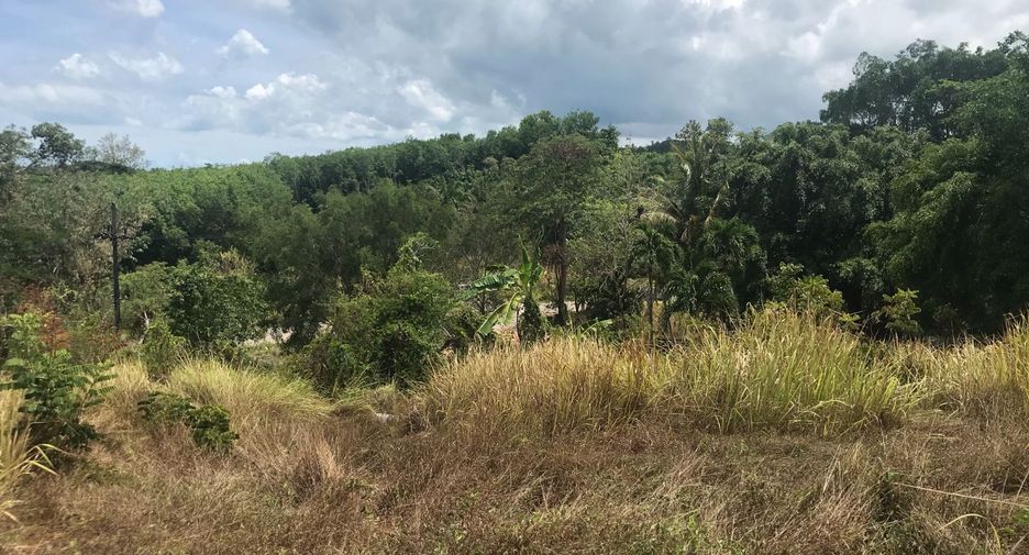 For rent and for sale land in Takua Thung, Phang Nga