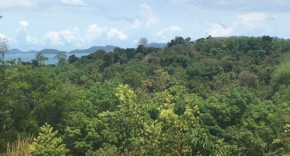For rent and for sale land in Takua Thung, Phang Nga