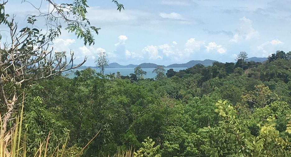 For rent and for sale land in Takua Thung, Phang Nga