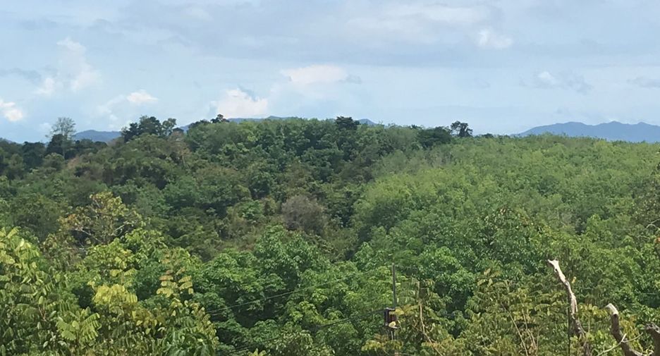 For rent and for sale land in Takua Thung, Phang Nga