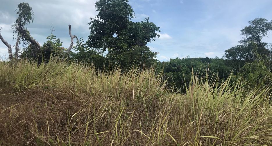 For rent and for sale land in Takua Thung, Phang Nga