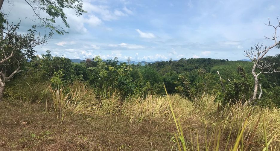 For rent and for sale land in Takua Thung, Phang Nga