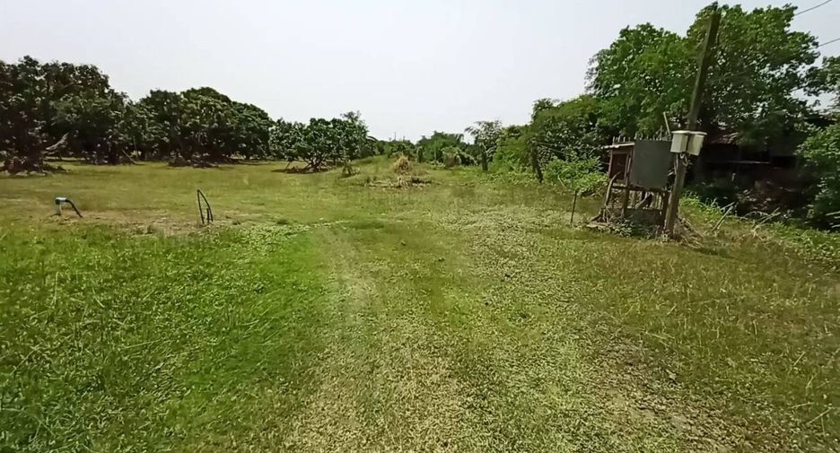 For sale land in Ban Thi, Lamphun