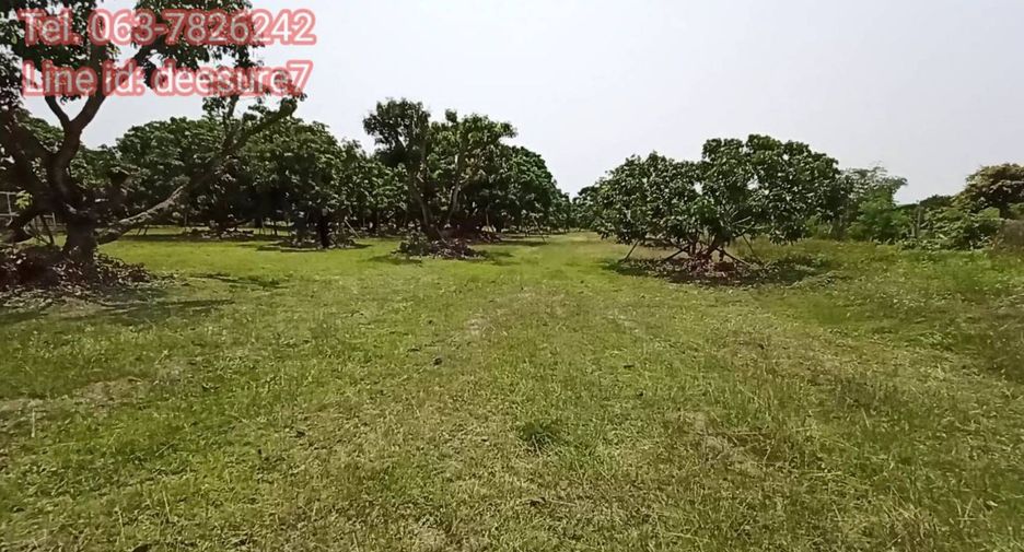 For sale land in Ban Thi, Lamphun