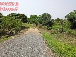ขาย ที่ดิน ใน บ้านธิ, ลำพูน