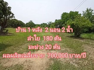 ขาย ที่ดิน ใน บ้านธิ, ลำพูน